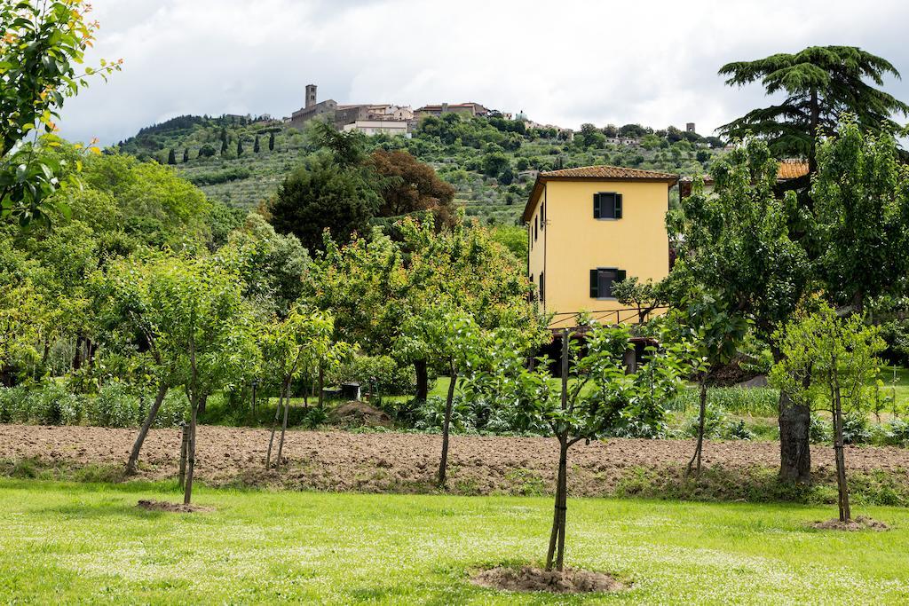 Casale Vacanze Il Granaio كورتونا المظهر الخارجي الصورة